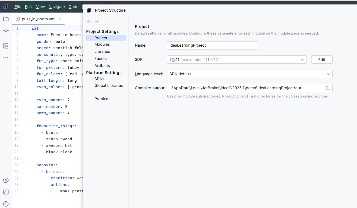 Prozor za podešavanje Project Structure u IntelliJ IDEA